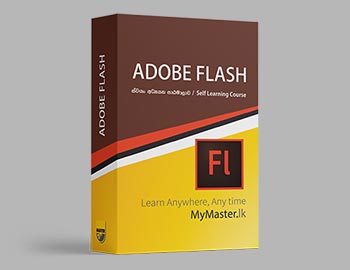 Adobe Flash Course